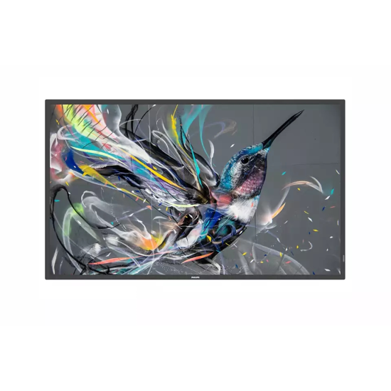 Широкоформатен дисплей | Philips 50BDL3550Q/00 | 50" Direct LED 4K Display | powered by Android | HTML5 browser | play from internal memory | CMND