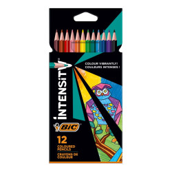 МОЛИВИ 12 ЦВЯТА INTENSITY BIC