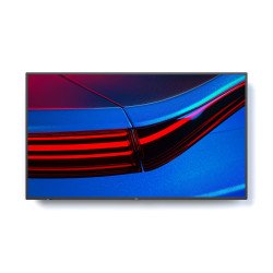 Дисплей NEC 60005058 P555
