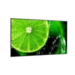 Дисплей NEC 60005159 E868