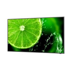 Дисплей NEC 60005270 E328