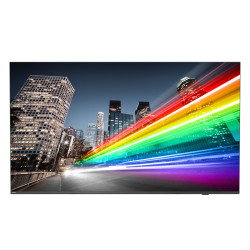 Дисплей с TV Tuner Philips 75BFL2214/12