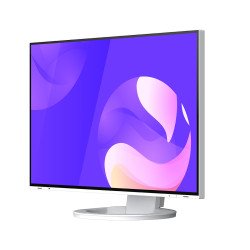 Монитор EIZO EV2495-WT